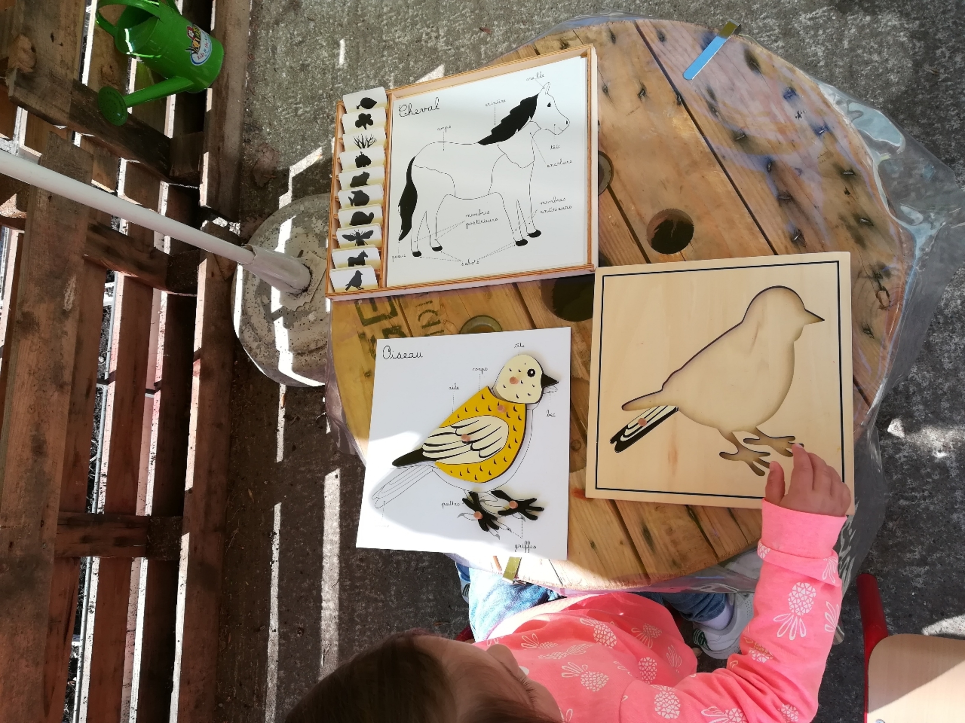 biologie ecole montessori thonon