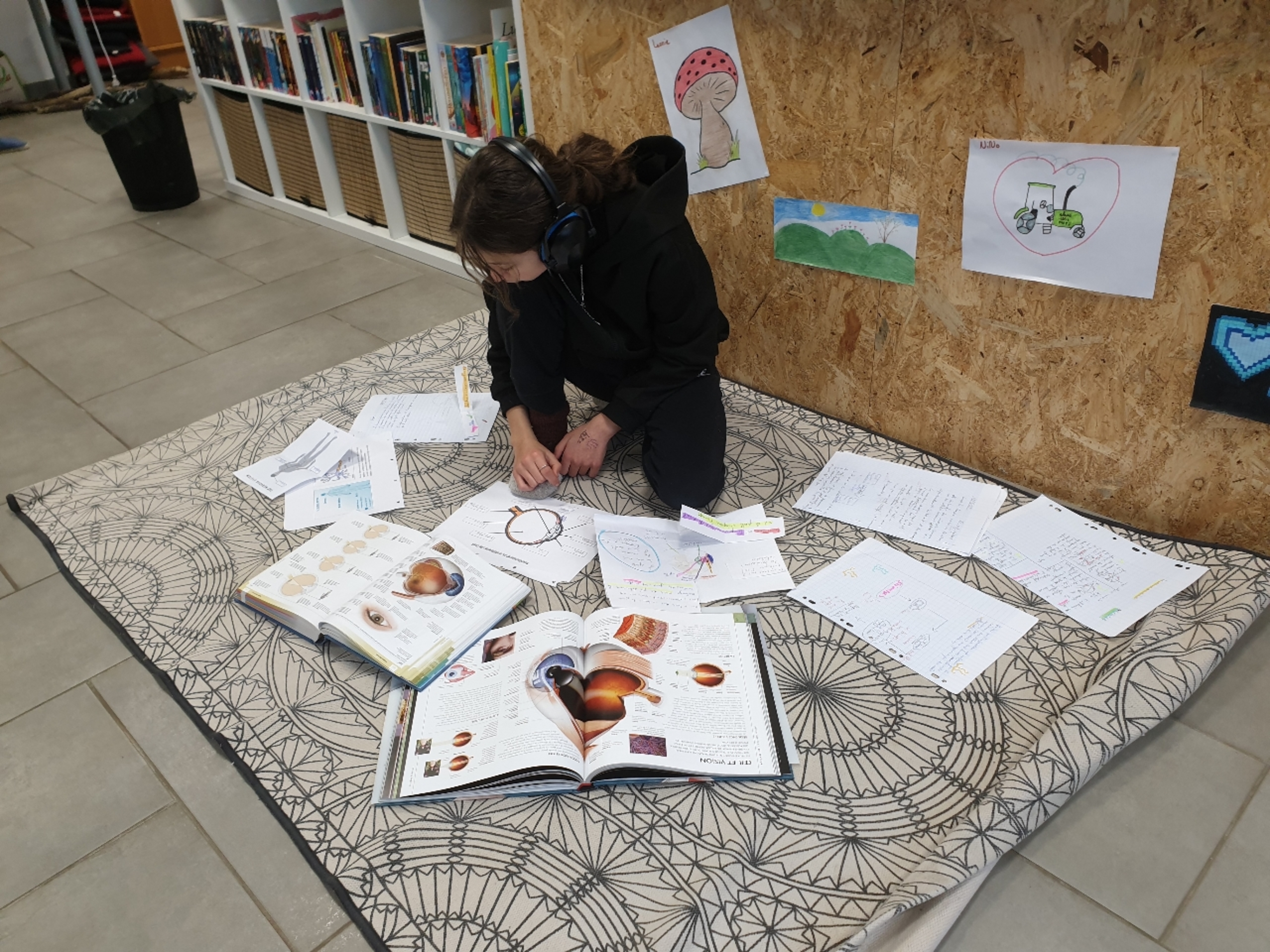 collège Montessori Thonon